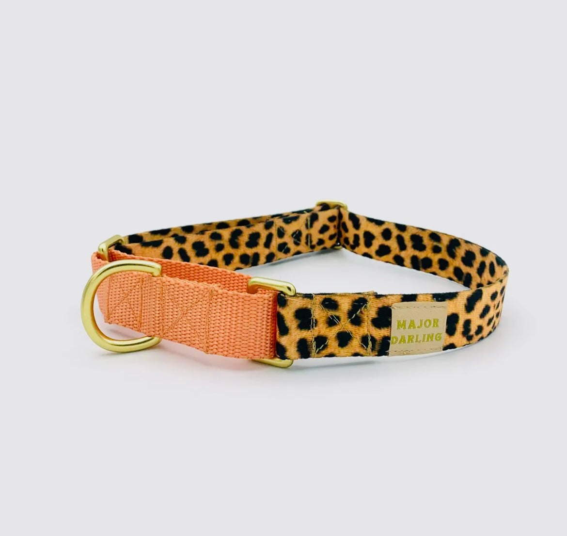 MAJOR DARLING Martingale Style Collar