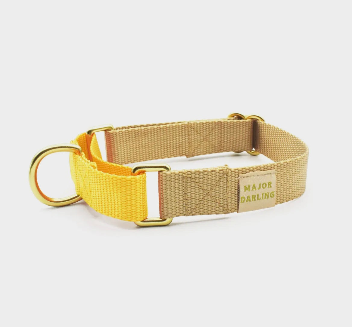 MAJOR DARLING Martingale Style Collar